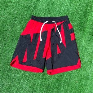 Nike Nylon Shorts (Large)